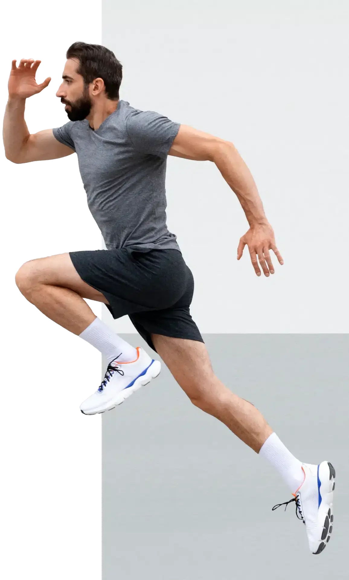 محصولات ورنا